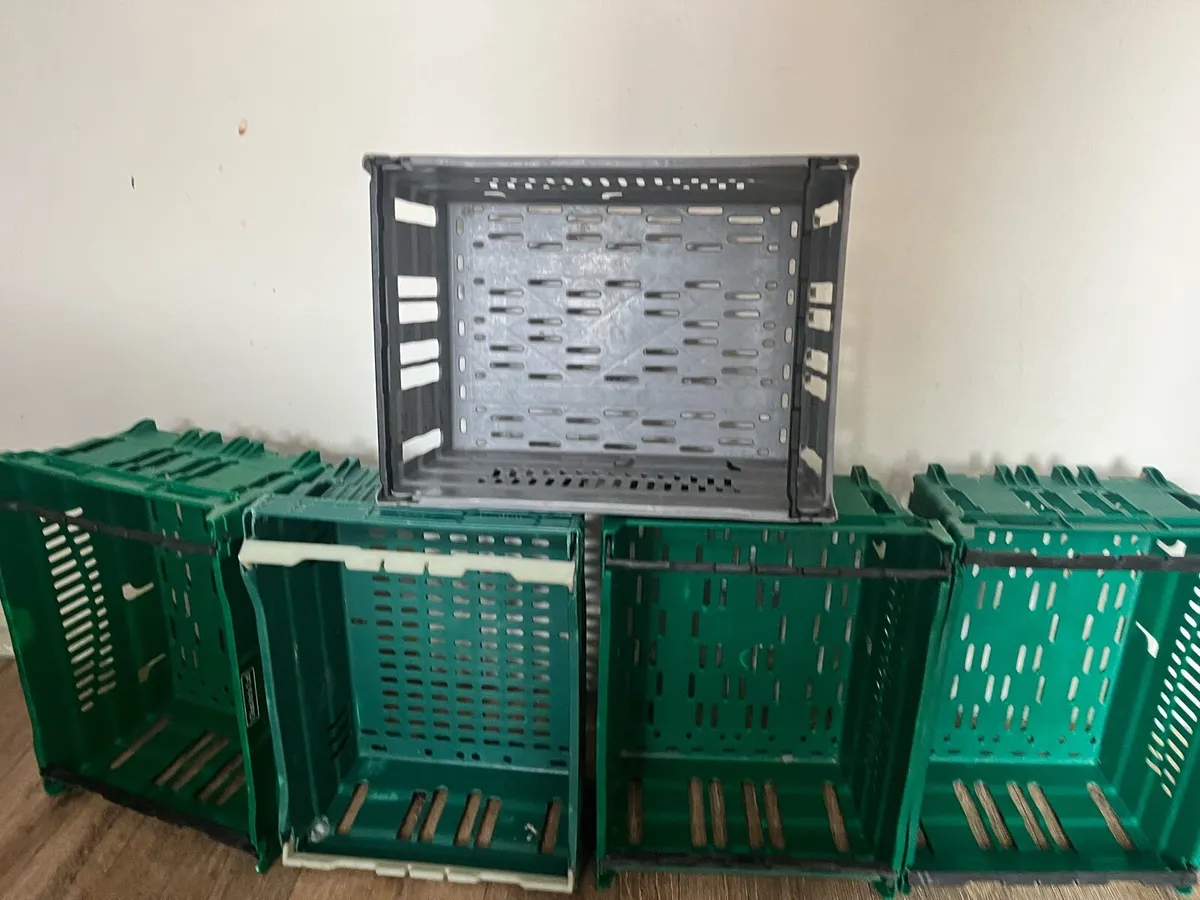 Five boxes - Image 2