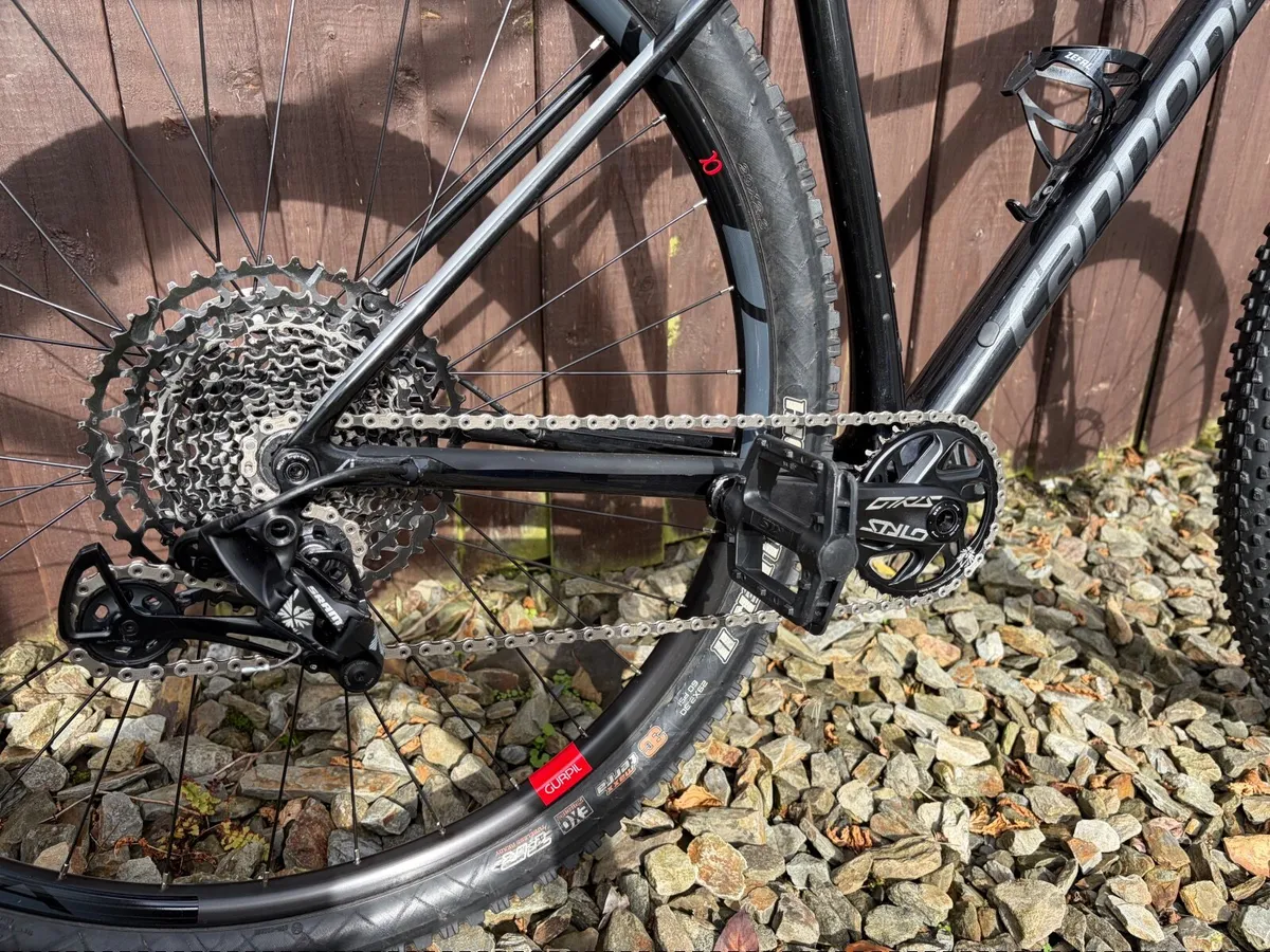 Cannondale F29 Carbon lefty - Image 4