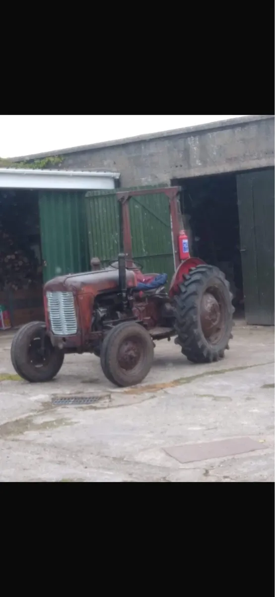 Massey 135 For Auction - Image 2