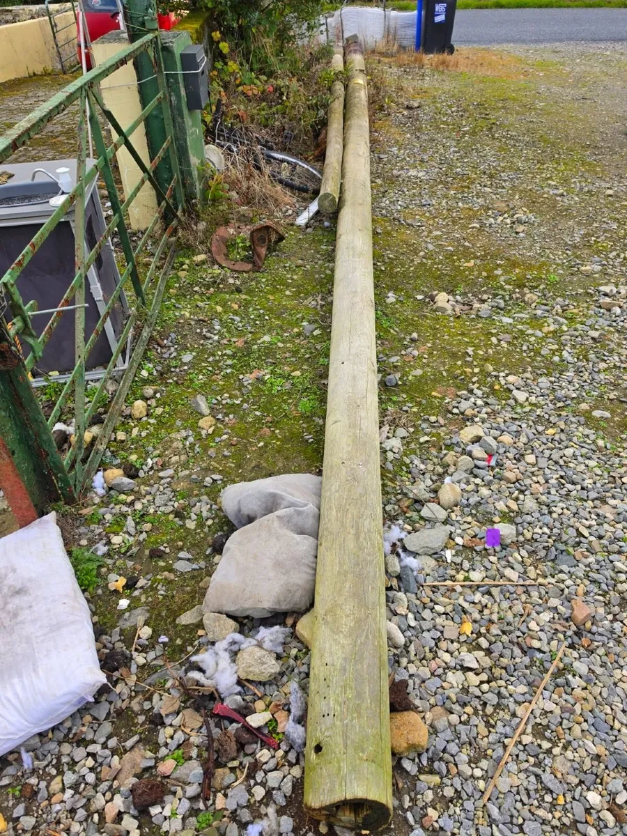 Esb poles..10 meter & 5 meter
