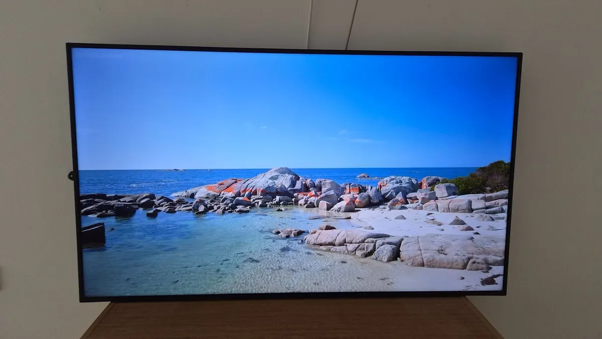 Panasonic 55" 4K Professional Display - Image 1