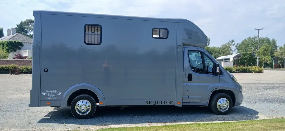 Horse box - Image 4