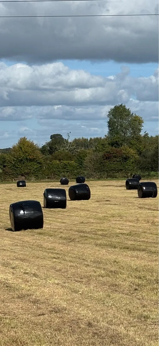 Freshly baled round bale silage - Image 1