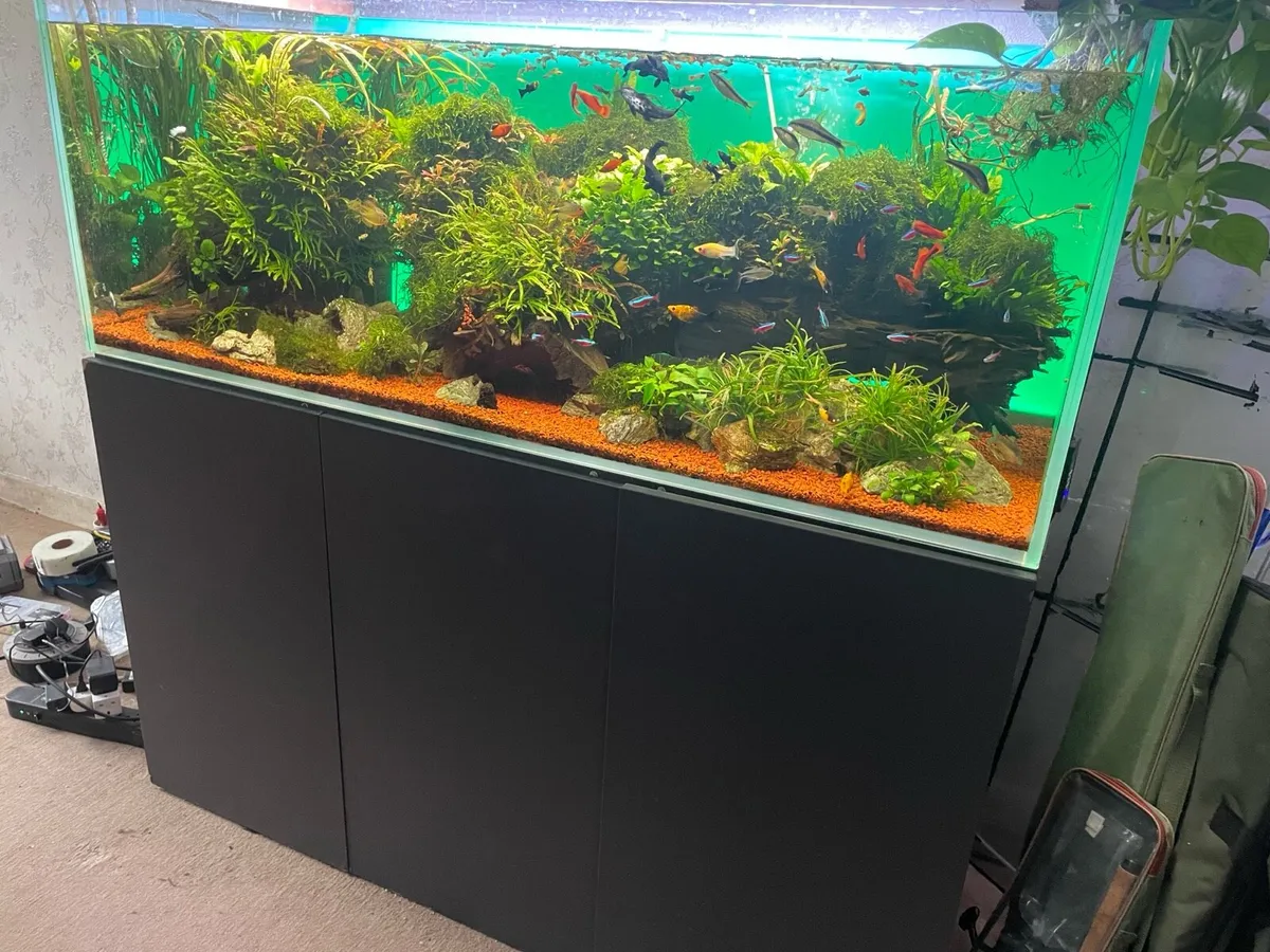 Fish tank 500 litre Opti white full setup - Image 3