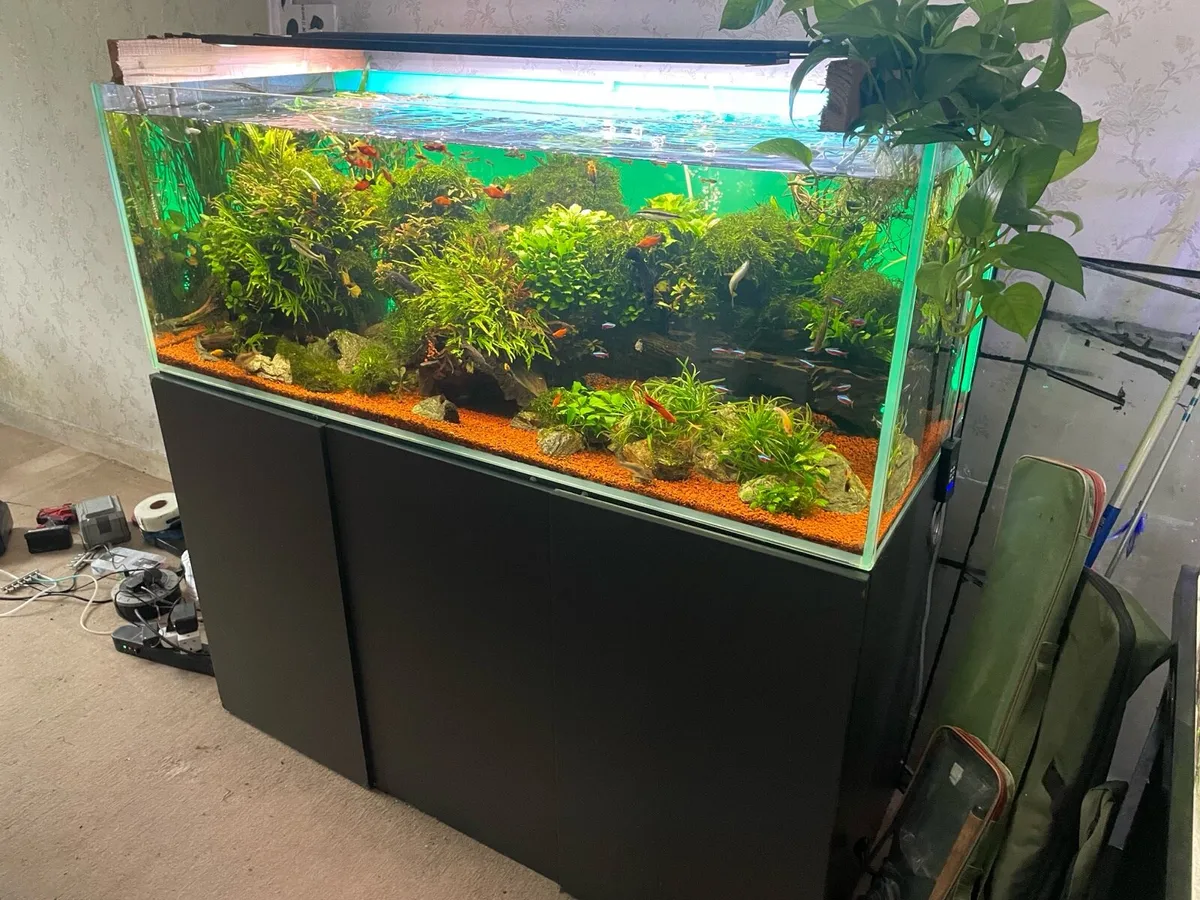 Fish tank 500 litre Opti white full setup - Image 1