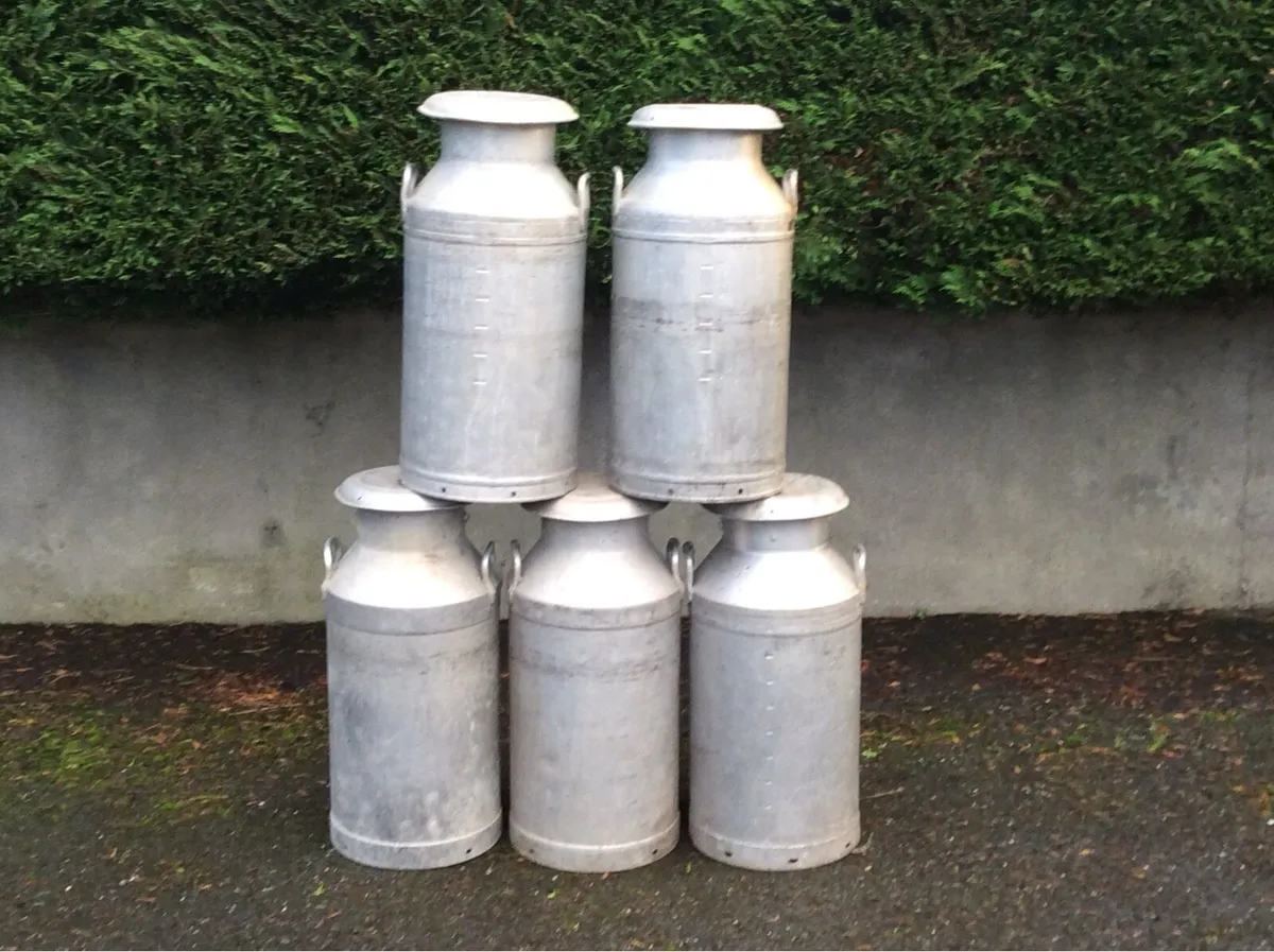 Old farm milk churns/creamery cans - Image 2