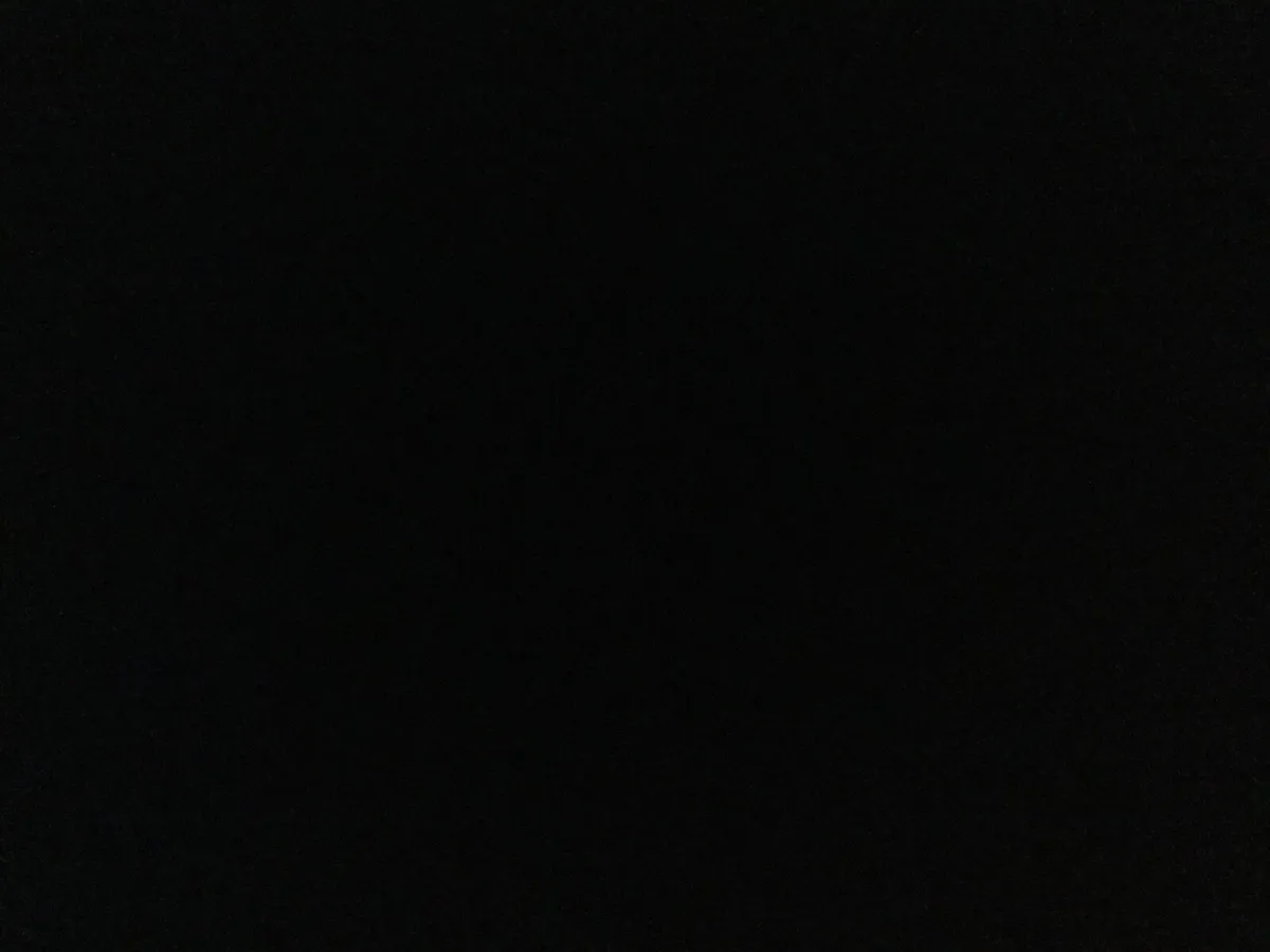 Trailer - Image 2