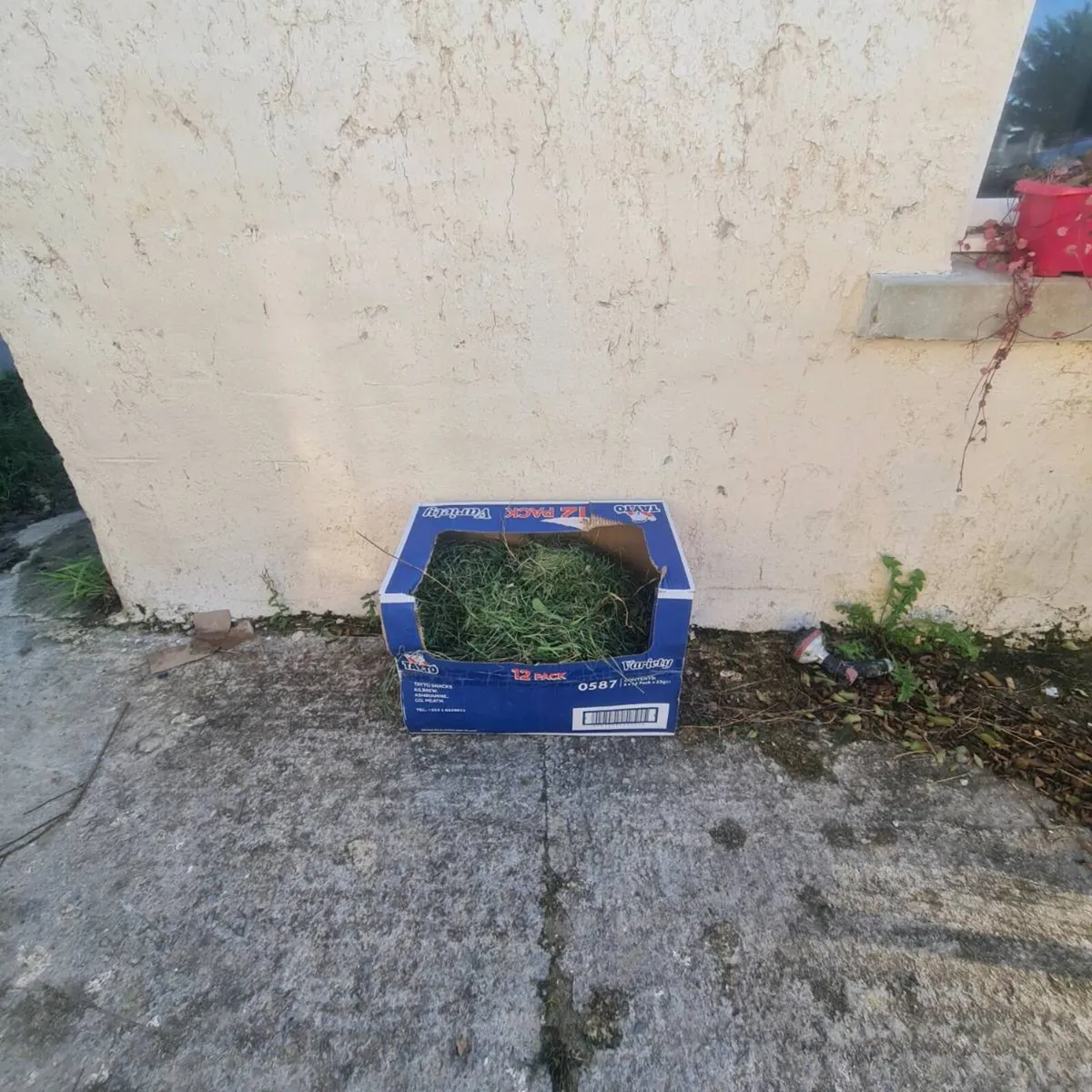 Grass up for Grabs - Image 1