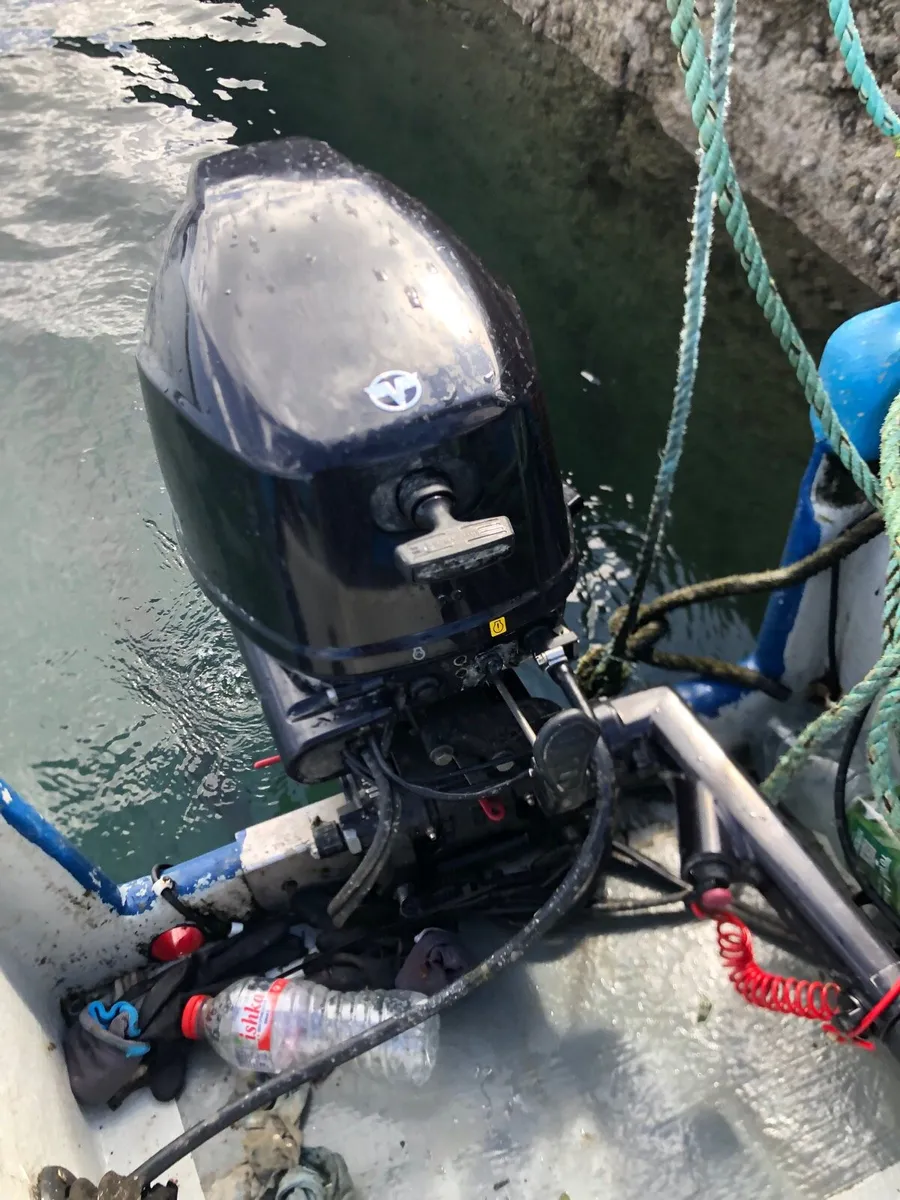 Tohatsu fisherman 15hp battery and pull start - Image 2