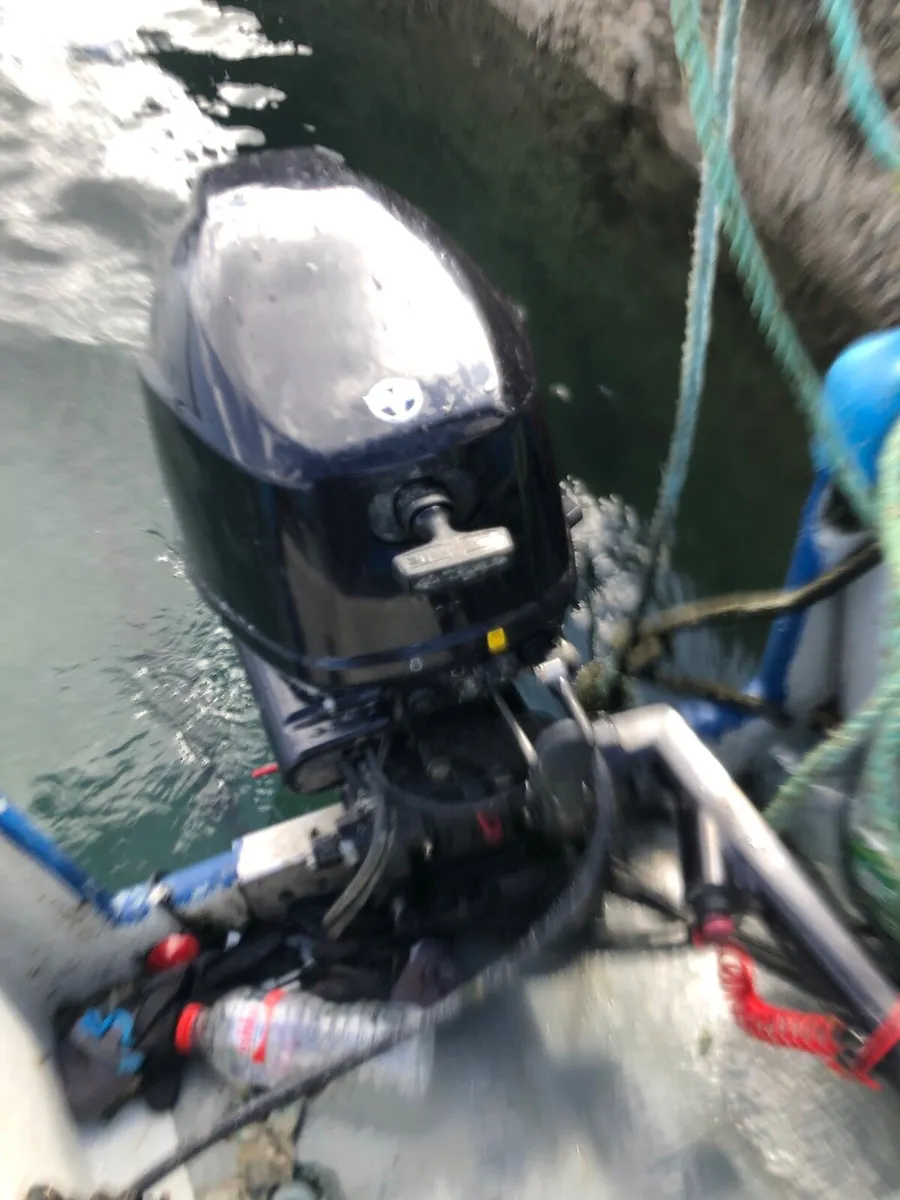 Tohatsu fisherman 15hp battery and pull start - Image 3