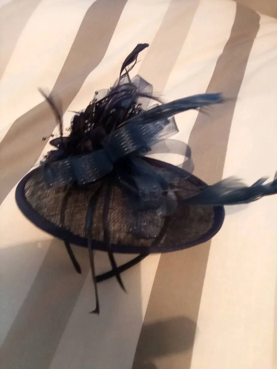 MOTHER. OF. THE. BRIDE.  DRESS. AND.  FASCINATOR. - Image 4