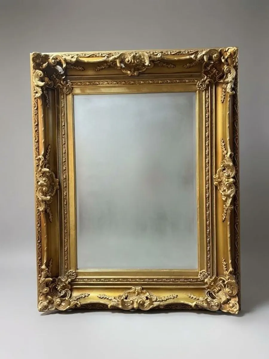 Large Gilt Double Frame Mirror. - Image 1