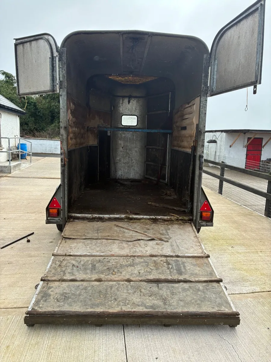 Horsebox - Image 4
