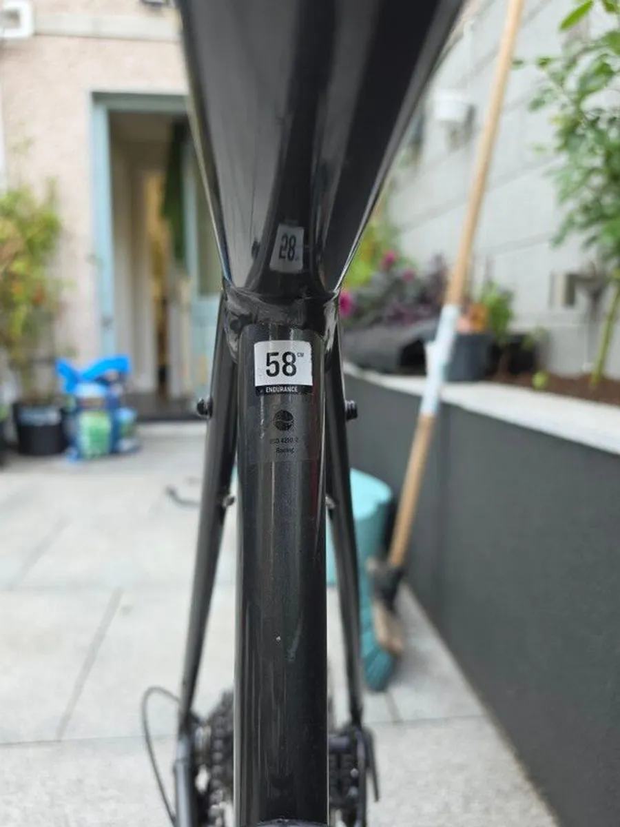 trek Domane AL 5 Gen 3 - Image 4