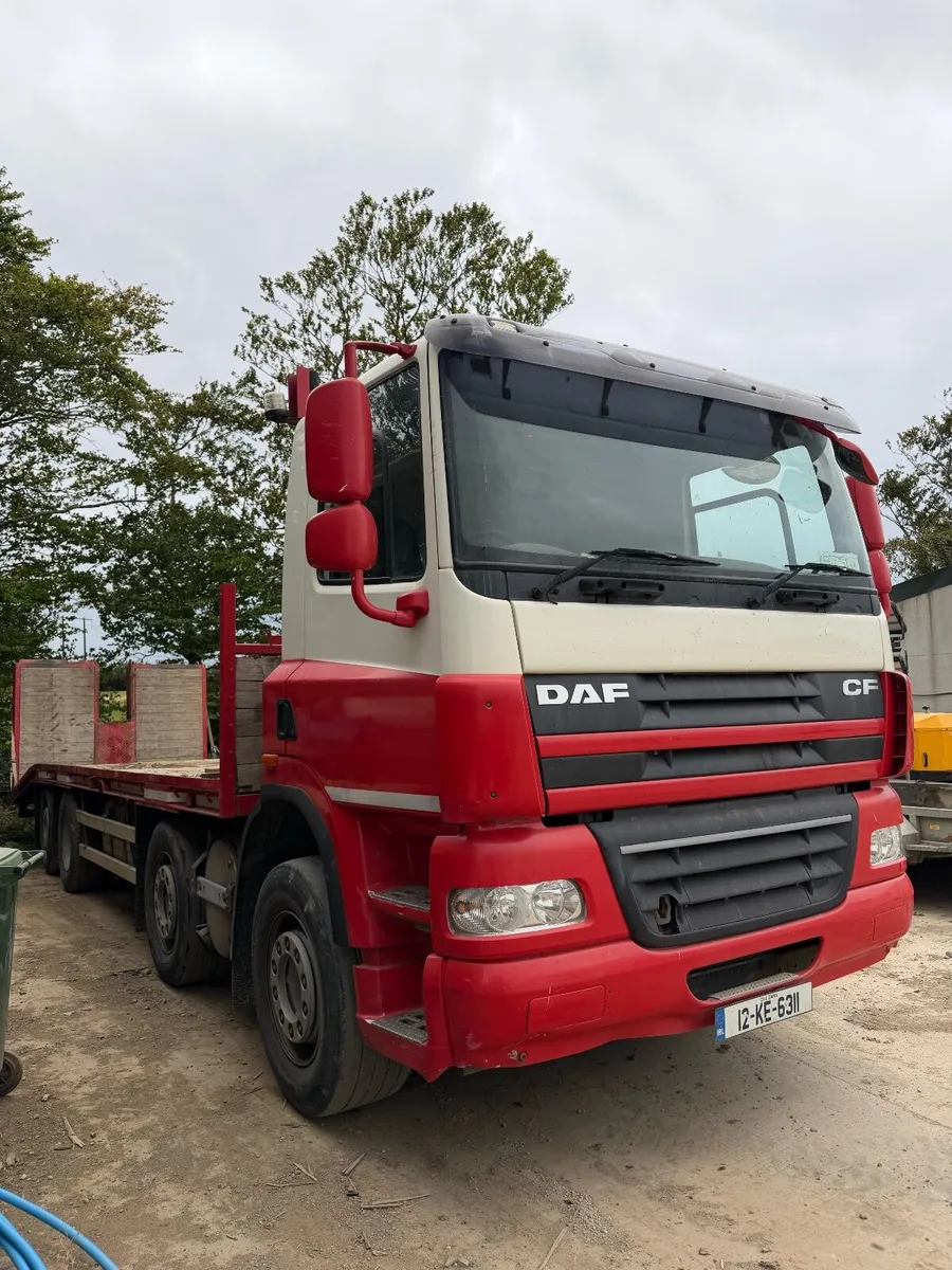 DAF beaver tail plant body 2012 - Image 1