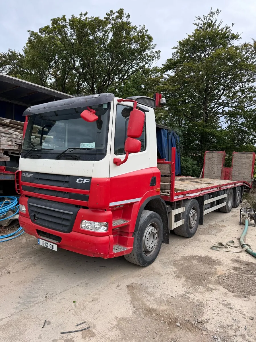 DAF beaver tail plant body 2012 - Image 3
