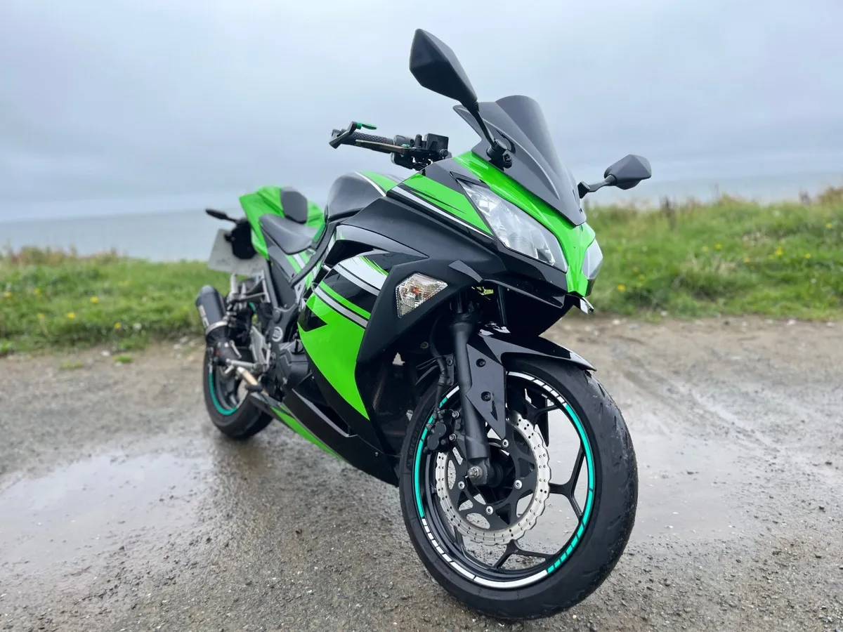 Kawasaki Ninja 2013 - Image 2