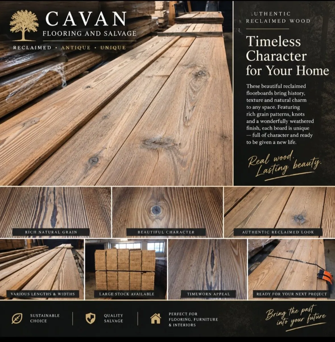 🇺🇸🇫🇷 PREMIUM AMERICAN & FRENCH TIMBER — NEW & - Image 1