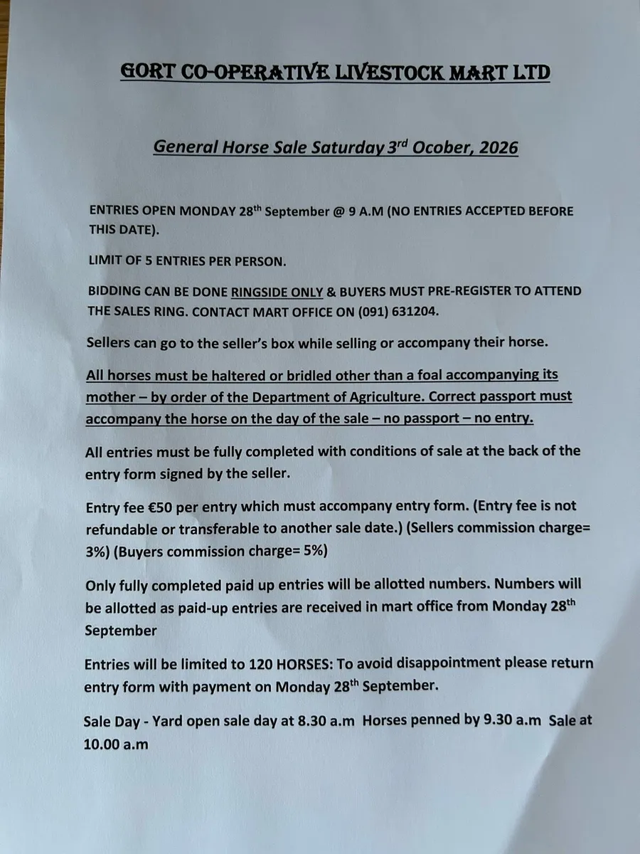 Gort Mart: Pre entry Horse sale : 3rd Oct - Image 3