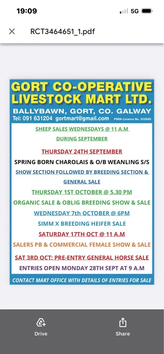 Gort Mart: Pre entry Horse sale : 3rd Oct - Image 4