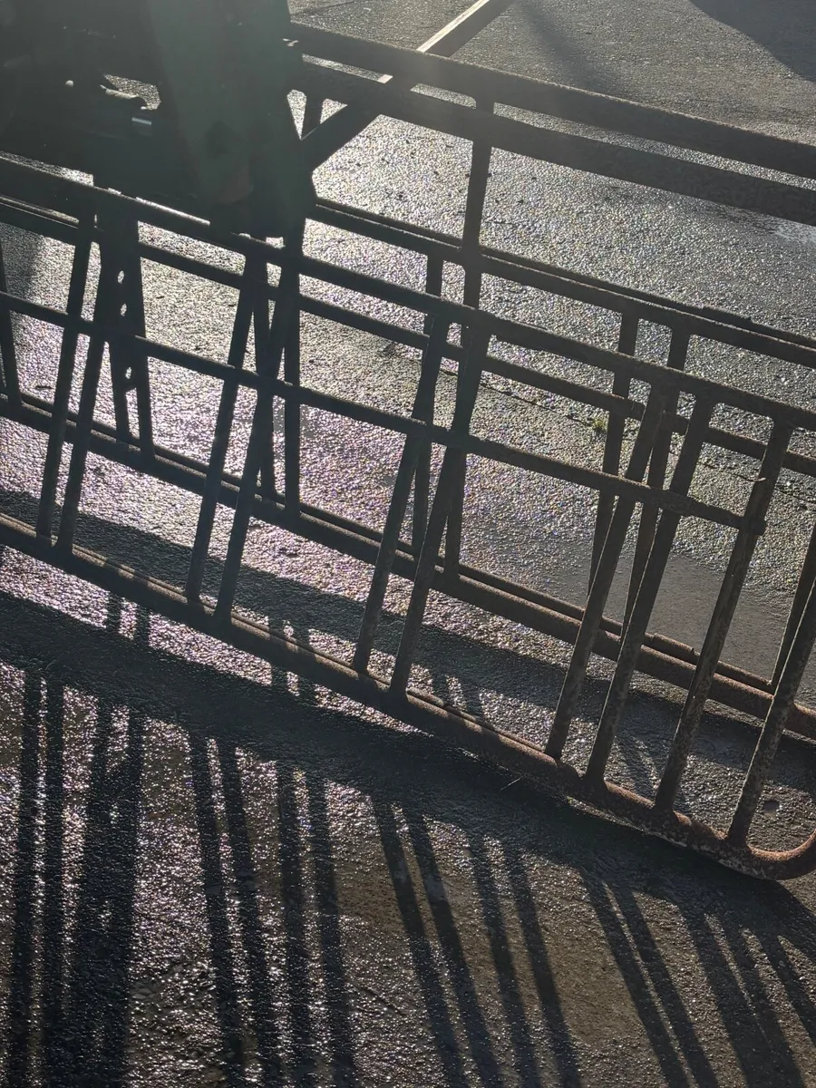 Sheep creep gates - Image 1