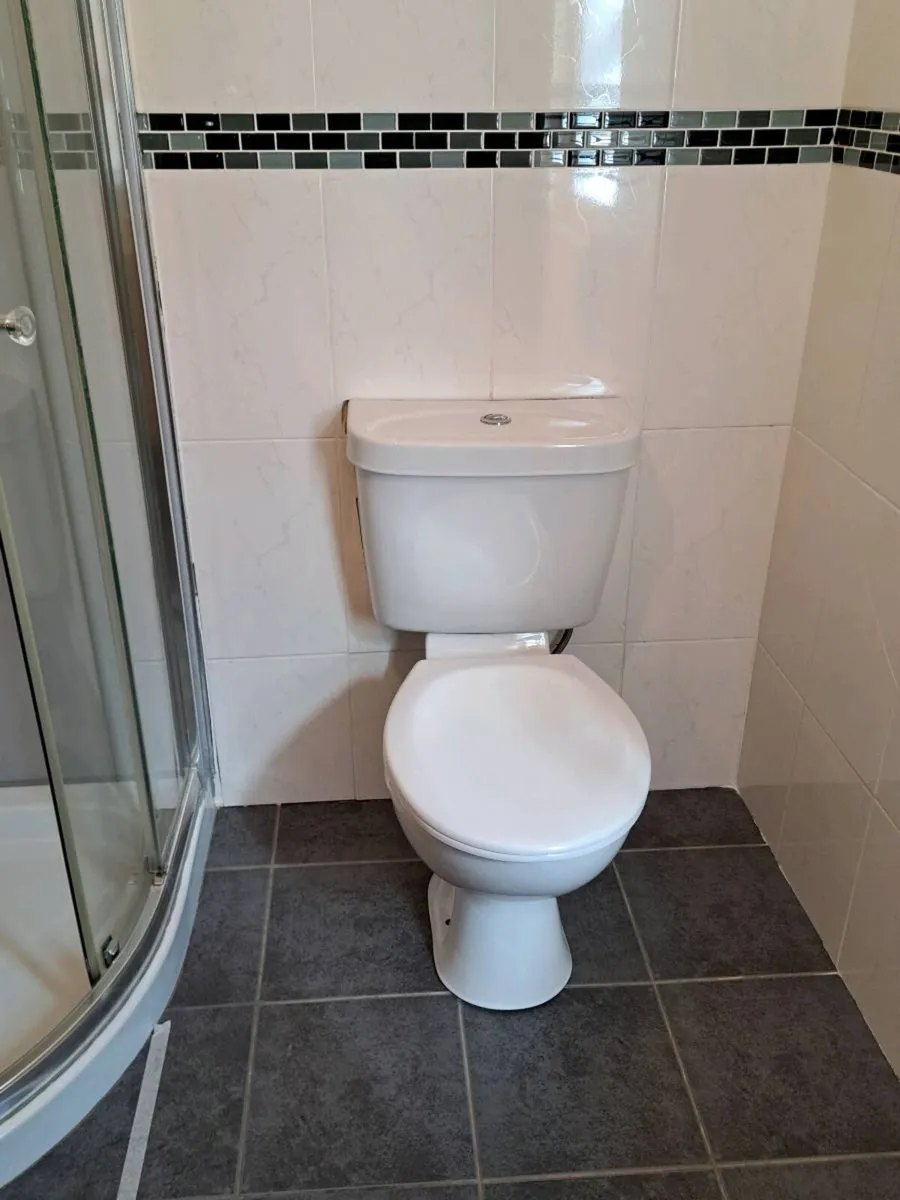 Ensuite sanitary ware - Image 3