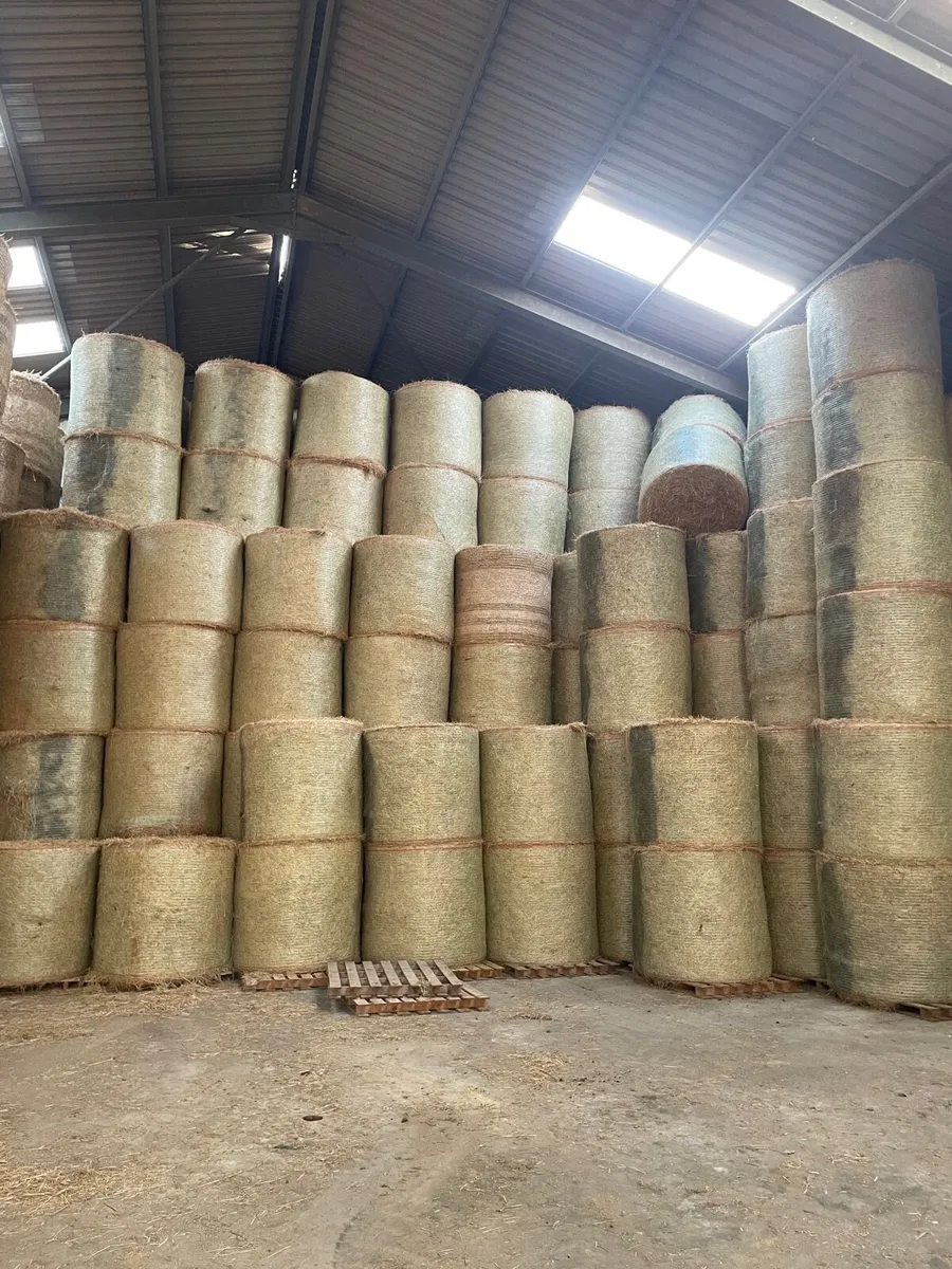 Hay