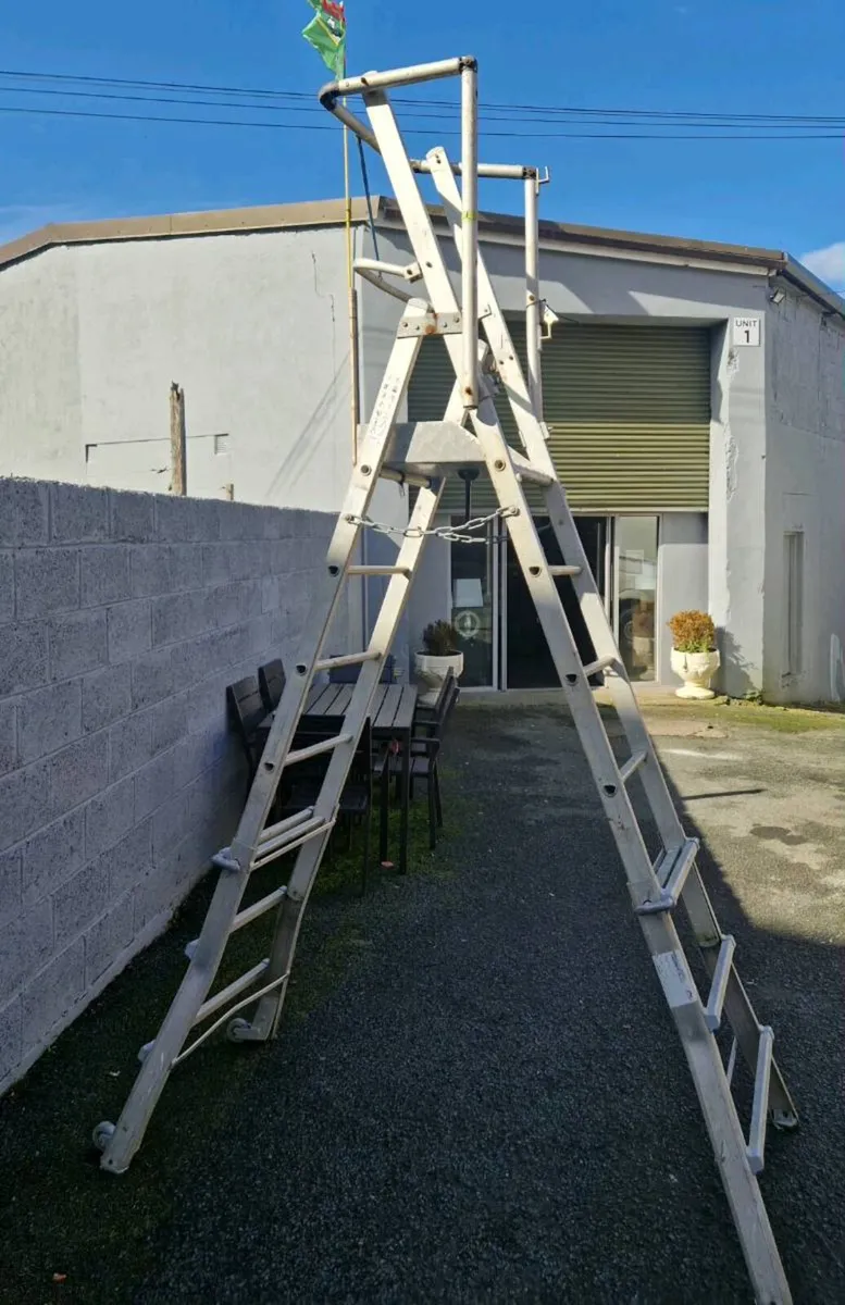 Podium platform step ladder - Image 1