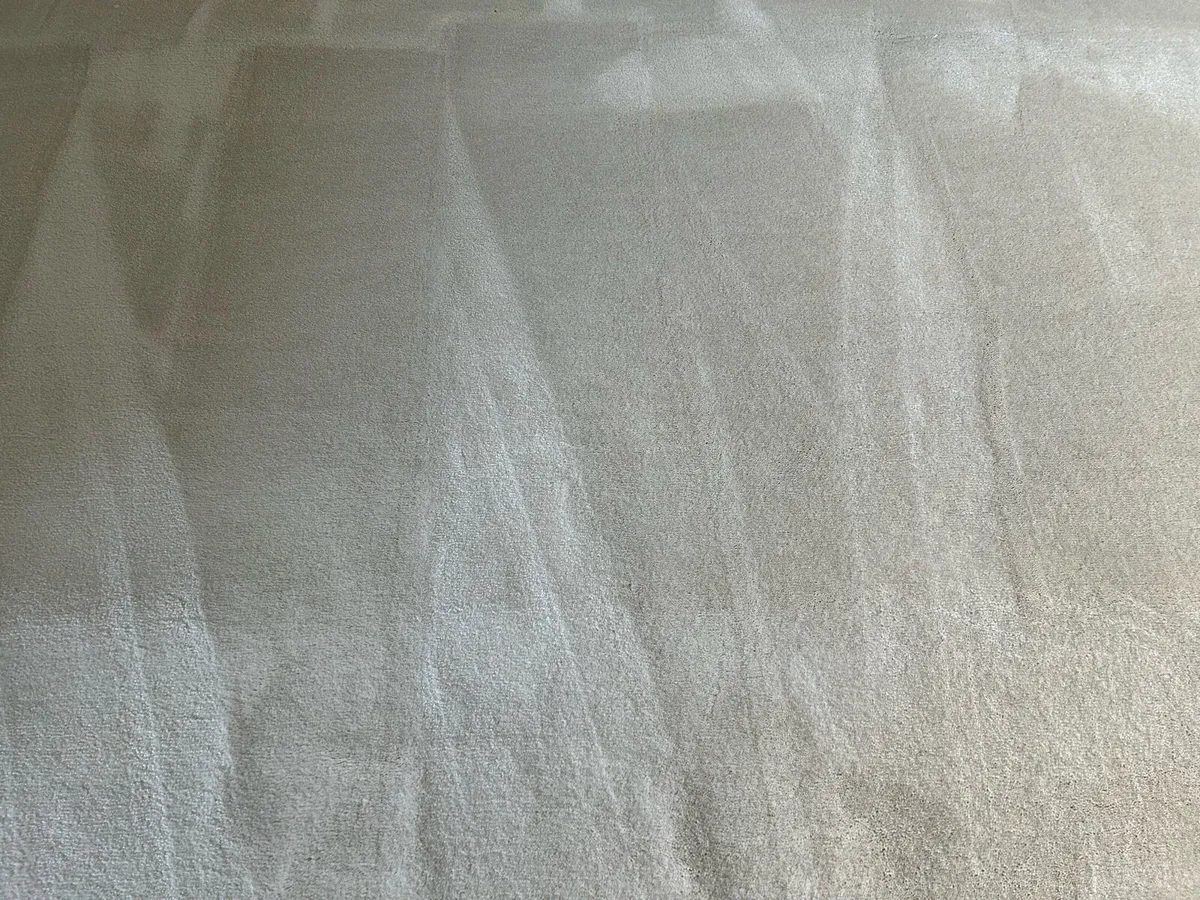 Cream Luxurious Rug - Image 2