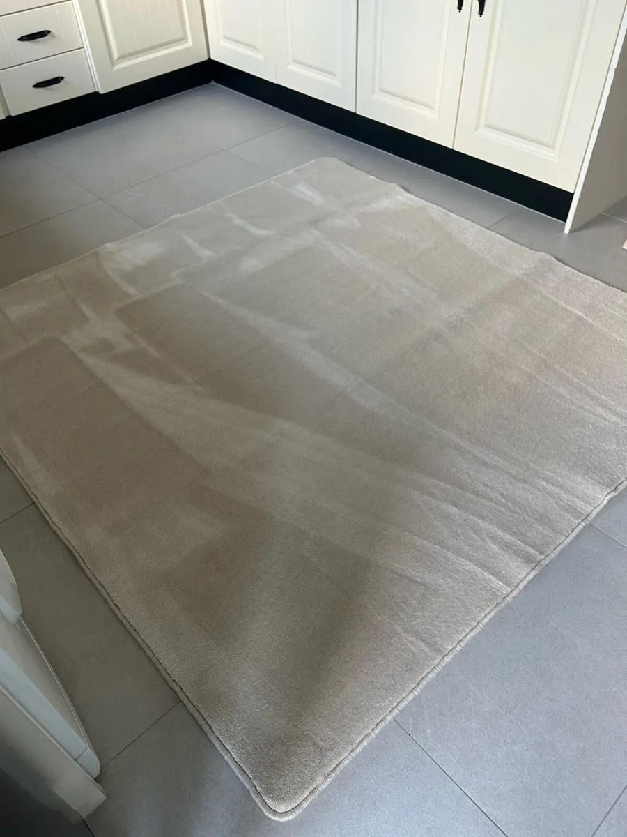Cream Luxurious Rug - Image 4
