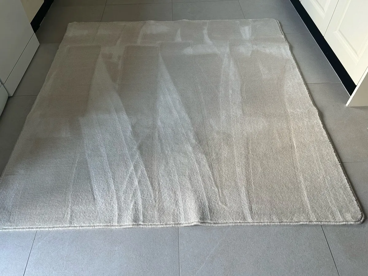 Cream Luxurious Rug - Image 1