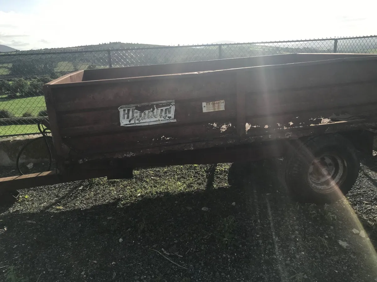 10 x 6 Tipping Trailer - Image 2