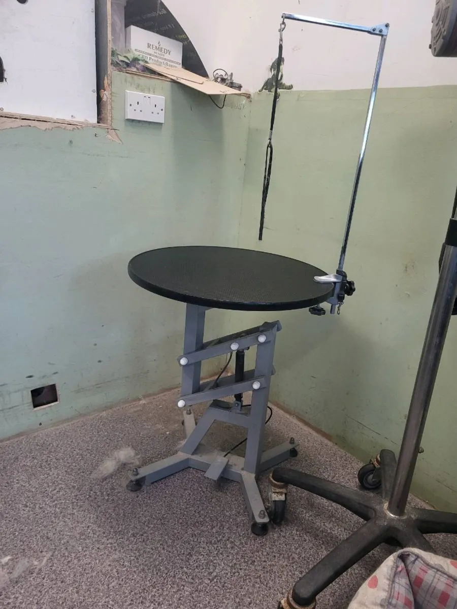 Small Hydrolic grooming table