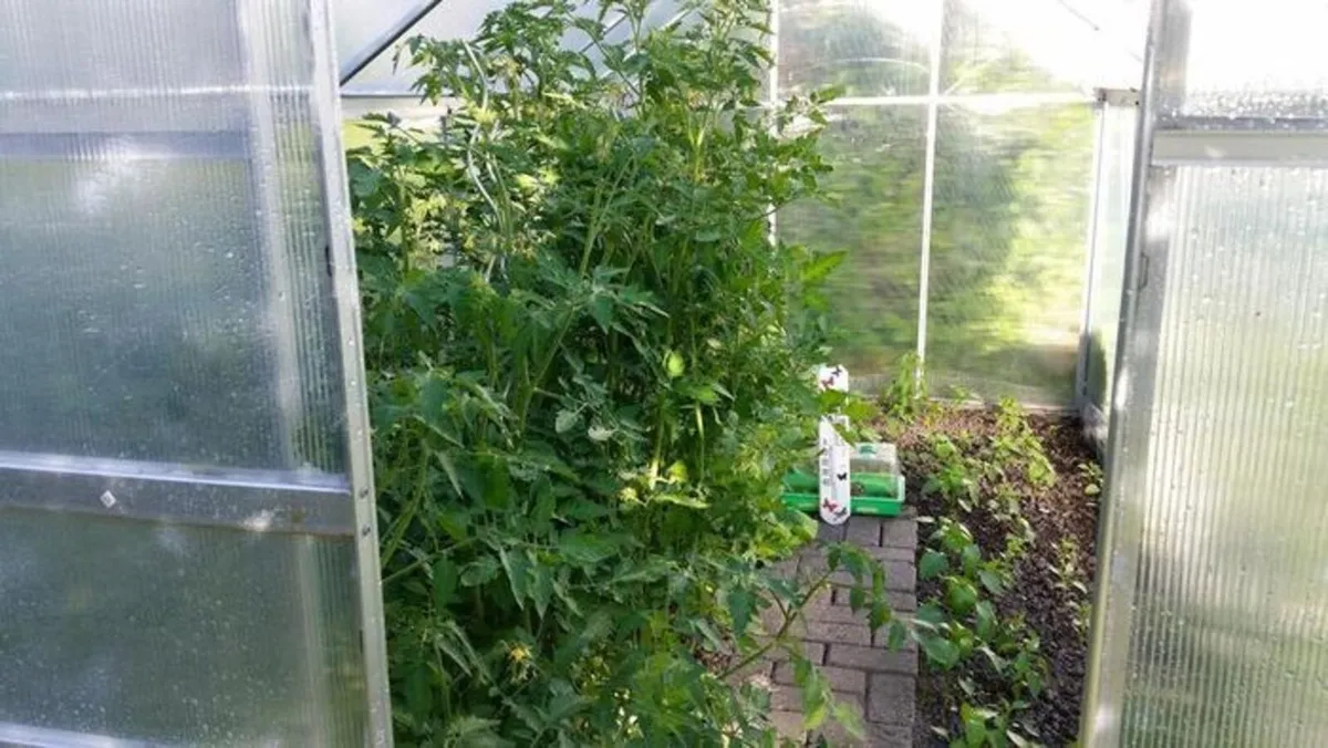 Aluminium Greenhouse 3.6m² Polycarbonate Garden Gr - Image 4
