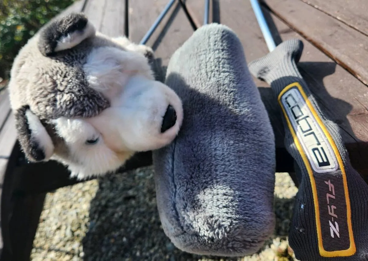 Ladies woods, driver, 5 wood and hybrid - Image 1