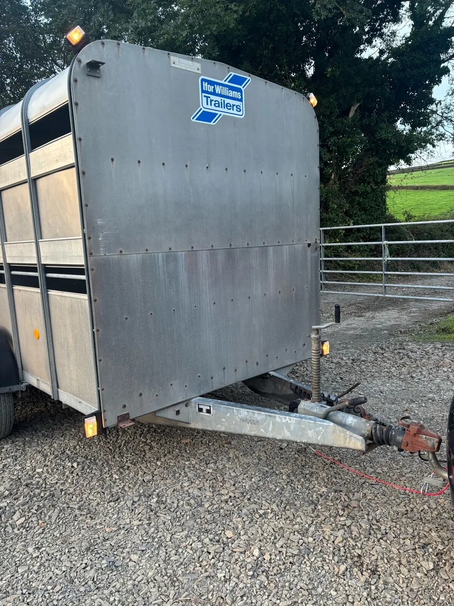 12x6 Ifor Williams cattle box - Image 2