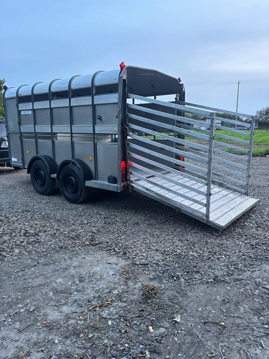12x6 Ifor Williams cattle box - Image 3