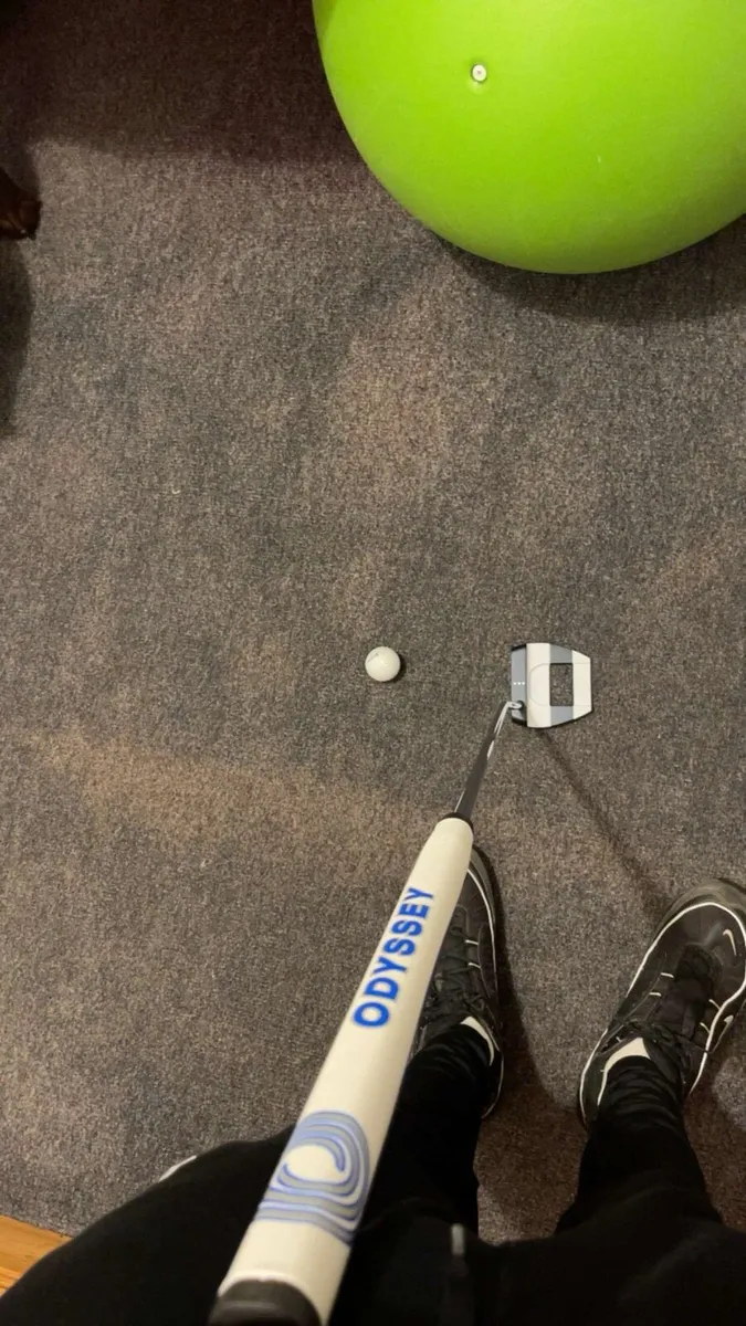 jailbird putter