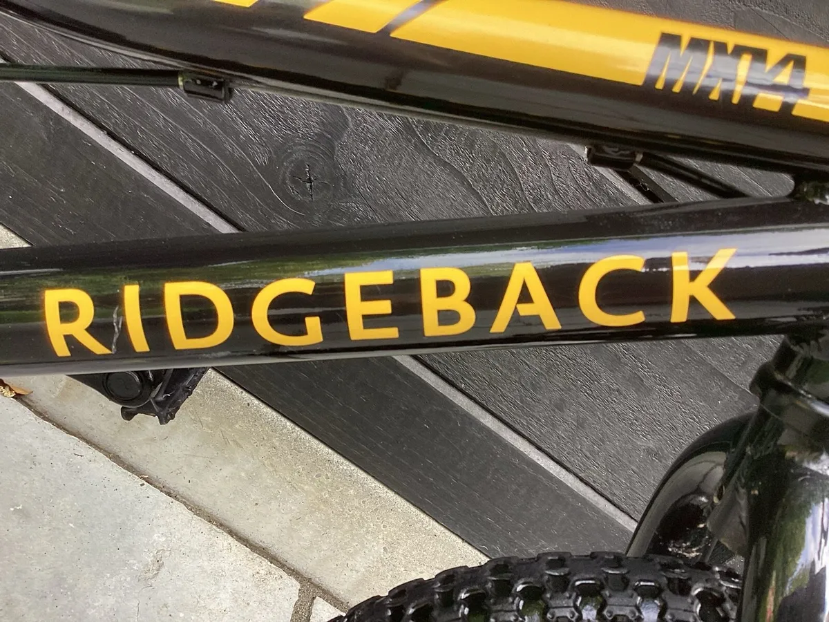 REMARKABLE RIDGEBACK - Image 2