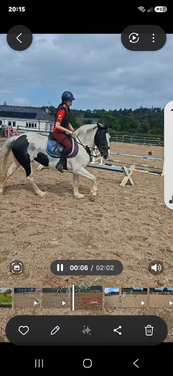 14.2hh Pony - Image 2