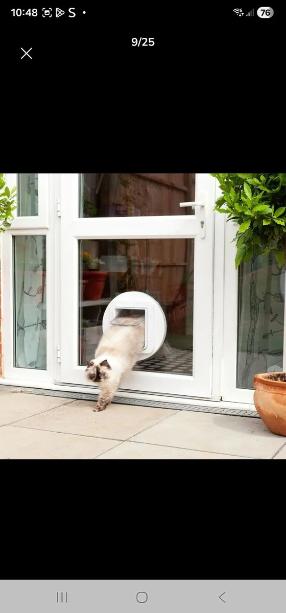 Dog/ cat Door flap - Image 4