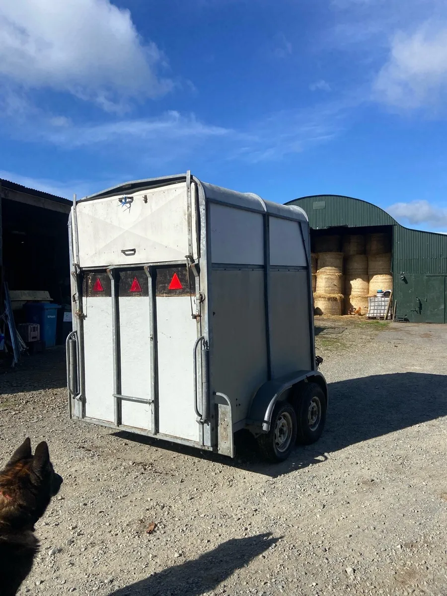 Bateson horse box - Image 3