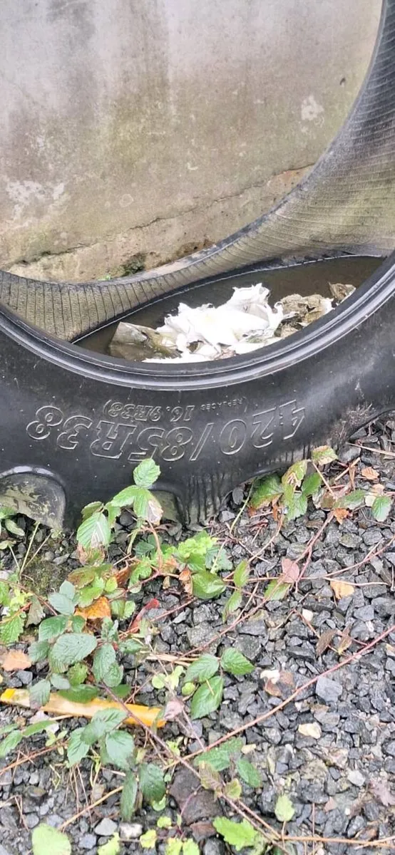 Tyres - Image 2