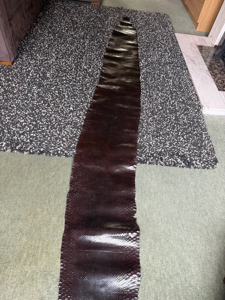 snake skin - Image 1