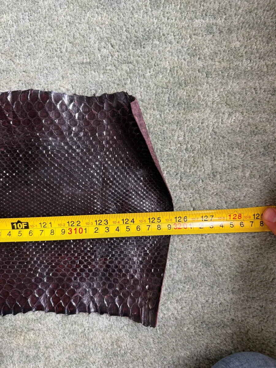 snake skin - Image 4