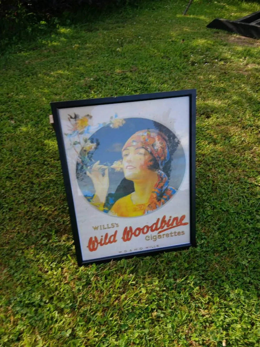 Framed Wills Wild Woodbine Advert - Image 1