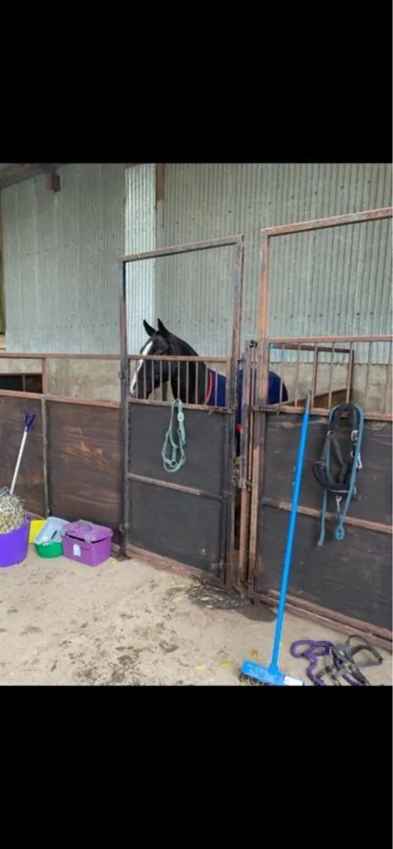 Internal Stables X 3 - Image 1