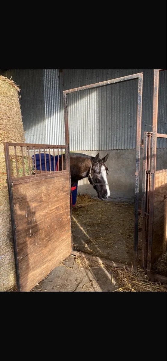 Internal Stables X 3 - Image 2