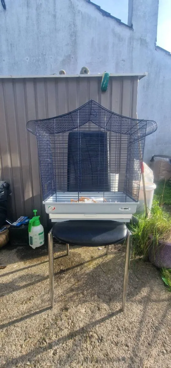 Cages for parrots - Image 4