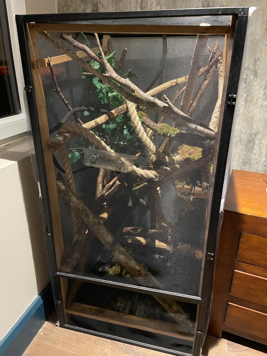Reptile enclosure - Image 3